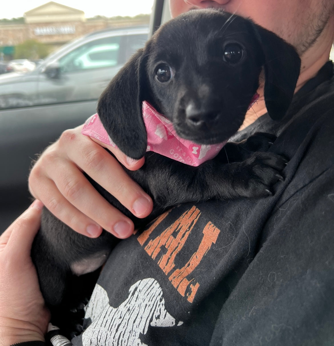 Gotcha Day (Pink)