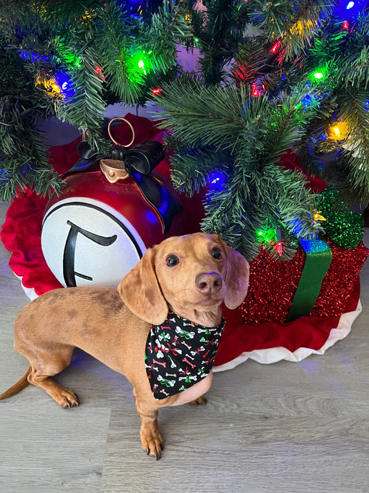 Pup-Cracker