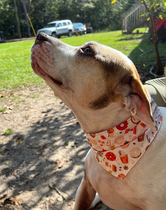 Fall Treats Bandana